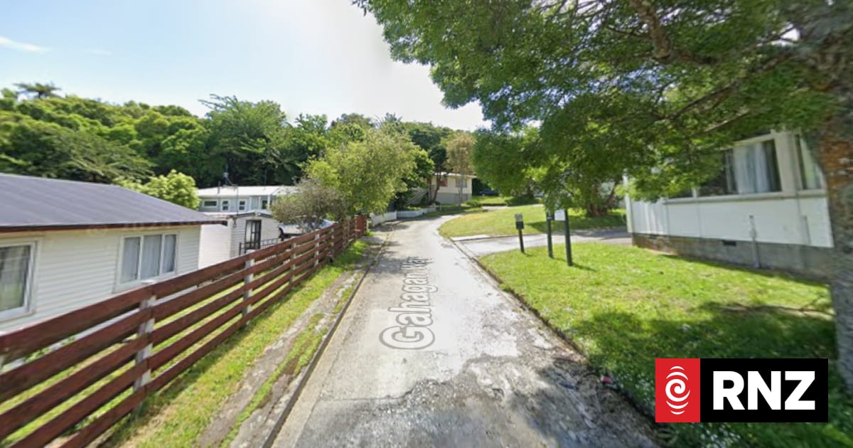 Homicide investigation launched after woman found dead in Wellington