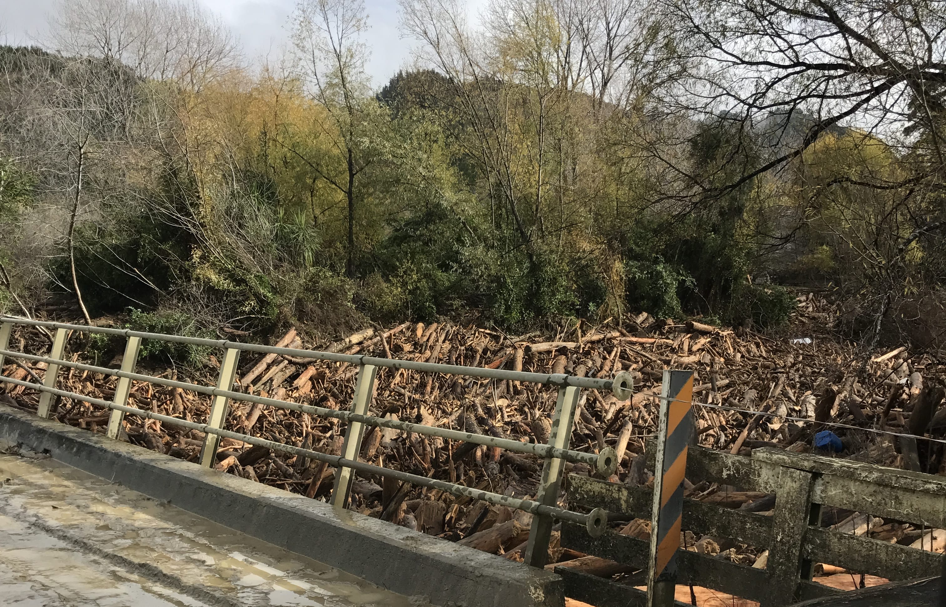 Flooding and debris on the road near Tolaga Bay.
