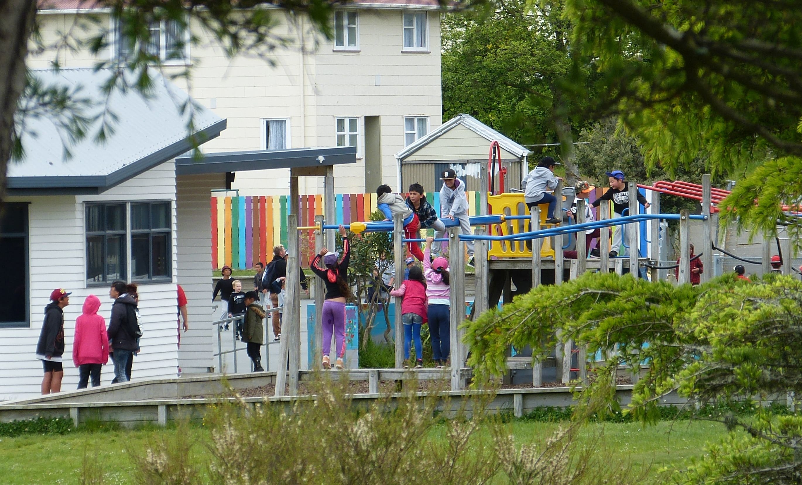 Children on gym equipment in distance through trees