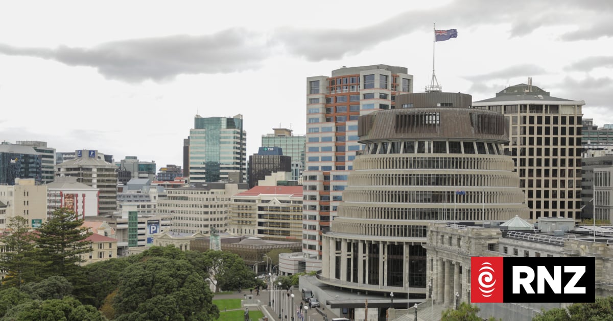 High Court urged to acknowledge Bill of Rights breach in recent electoral changes