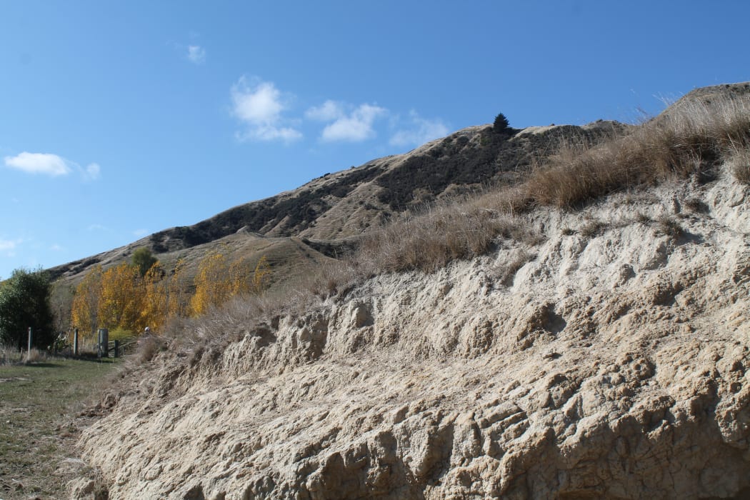 Dry hill country farm in Hawke's Bay