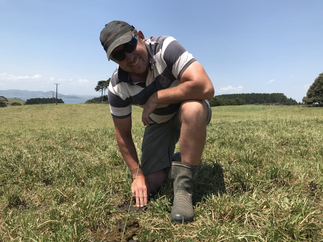 David Kidd on his farm looking for dung beetles