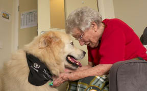 Therapy dog Moose is the highlight of the week for some residents of Summerset Retirement village in Karaka.