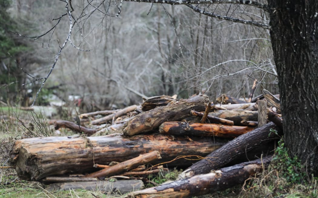 Taloga Bay, heavy rain forced piles of wood onto farmland.