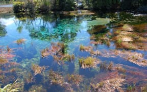 Te Waikoropupu Springs