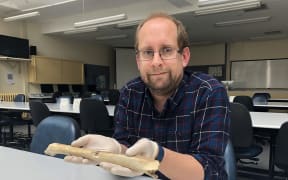 Dr Nic Rawlence with gizzard stones and the shin bone (partial right tibiotarsus) of a subadult South Island giant moa (Dinornis robustus). A small portion was used for radiocarbon dating (to determine how old the specimen is) and ancient DNA (to confirm its identification to a moa species).
