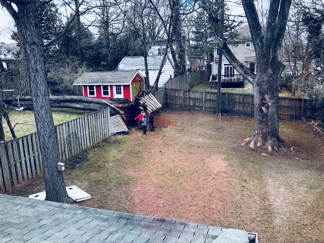 A tree came down during the storm in Maclean, Virginia
