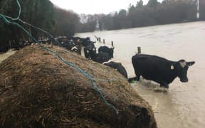 Flooding on James Bruce's farm,  Martinborough, July 2017.