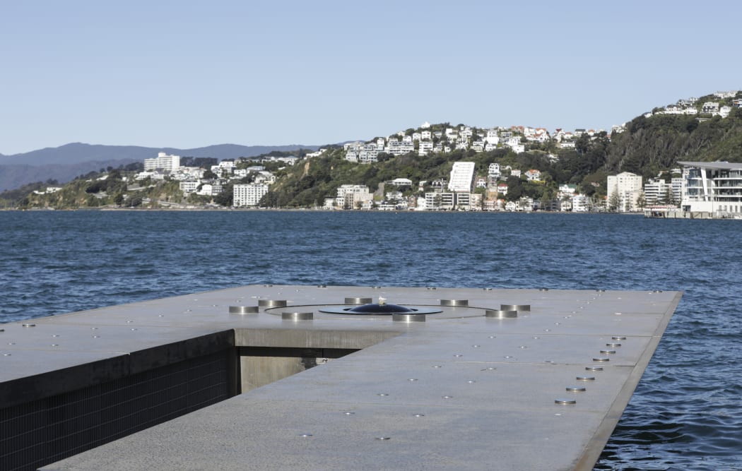A Len Lye sculpture on Wellington's waterfront that cost more than $1 million to install has been broken by a man swinging on it.