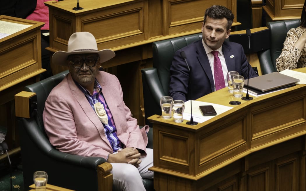 David Seymour and Rawiri Waititi in parliament