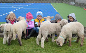Ngaere School's "show day" in Taranaki.
