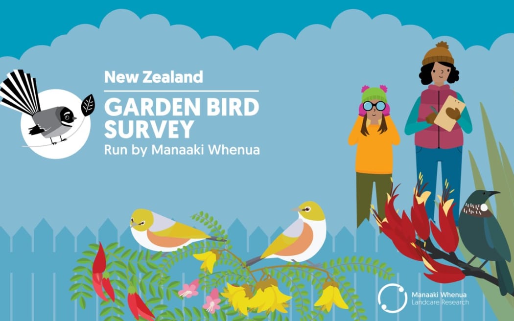 Promotional image for the Garden Bird Survey.