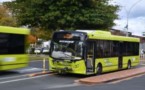 Rotorua's urban adult bus fares will increase by 30c. Photo / Laura Smith