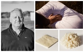 Henry Hansen, Wisewool