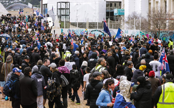 Anti-government protester in Wellington, marching towards Parliament on 23 August 2022.