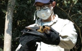 Jonathan Epstein and a bat