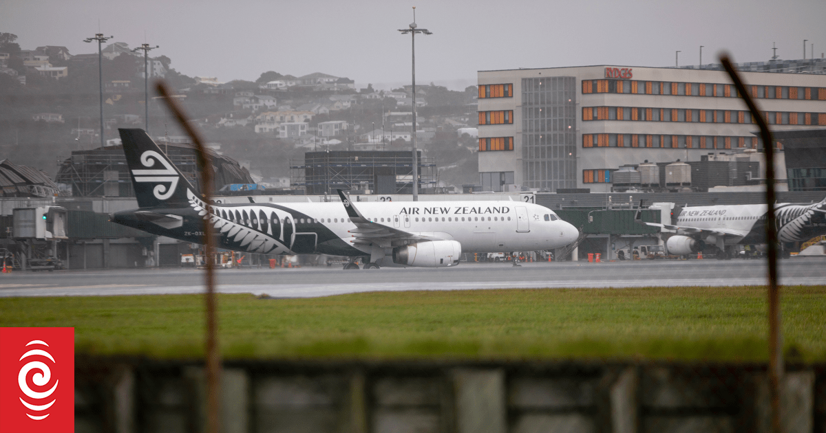 More than 40 flights cancelled at Wellington Airport due to fog