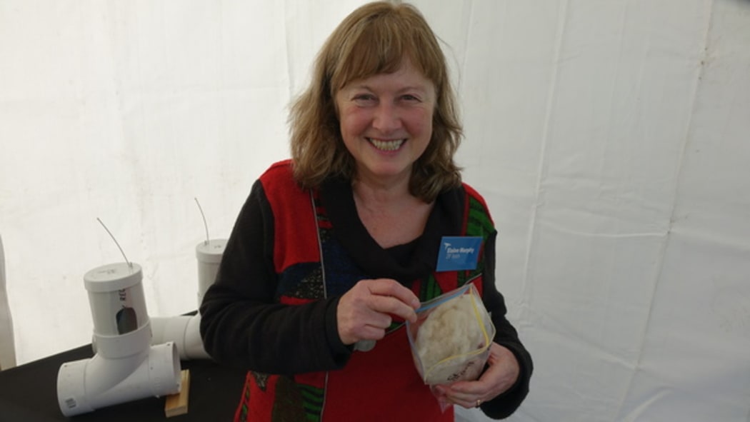 Dr Elaine Murphy with some of the stoat bedding being used as a lure.