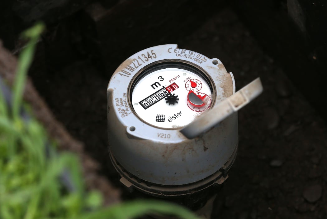 A water meter in Seddon - the first town in Marlborough to have meters rolled out in 2000.