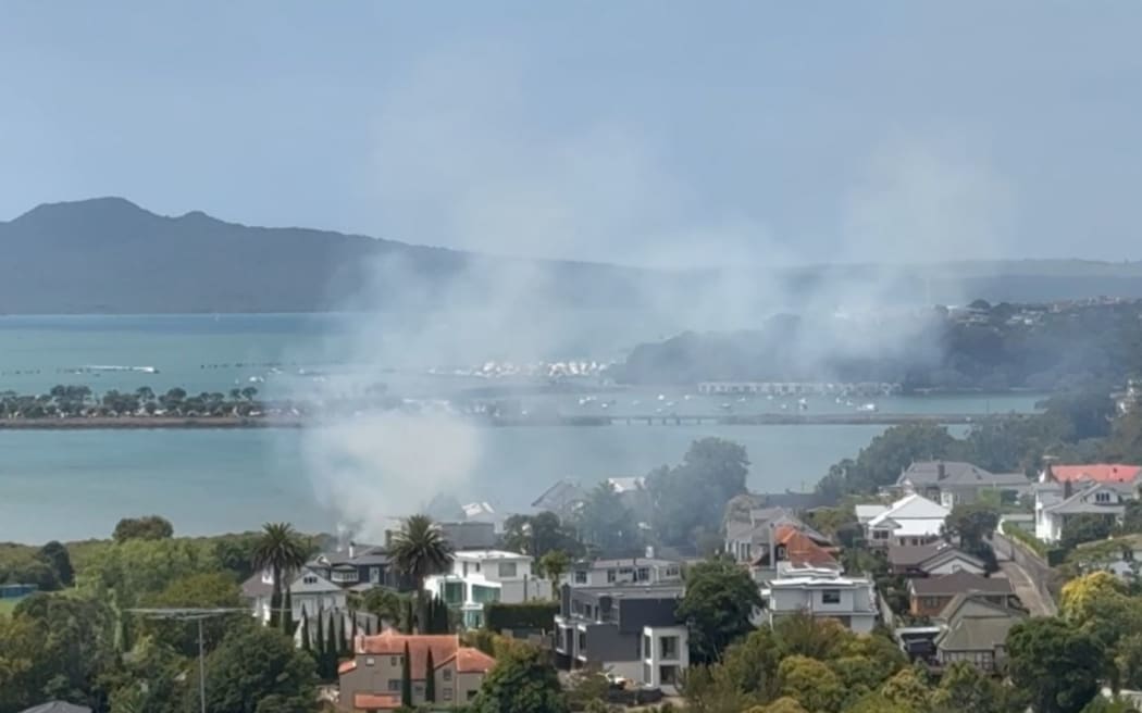 The blaze at a residential property in the Auckland suburb of Remuera was extinguished on Monday afternoon.
