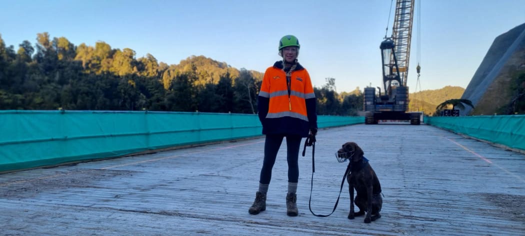 Ecological contractor Sian Potier and her dog Kiekie swept the bridge one construction site for kiwi.