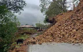 A slip in the Rai Valley near Nelson