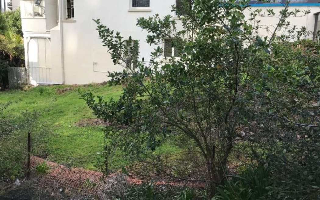 New Zealand College of Education's listed address in 60 Symonds St, Grafton Auckland