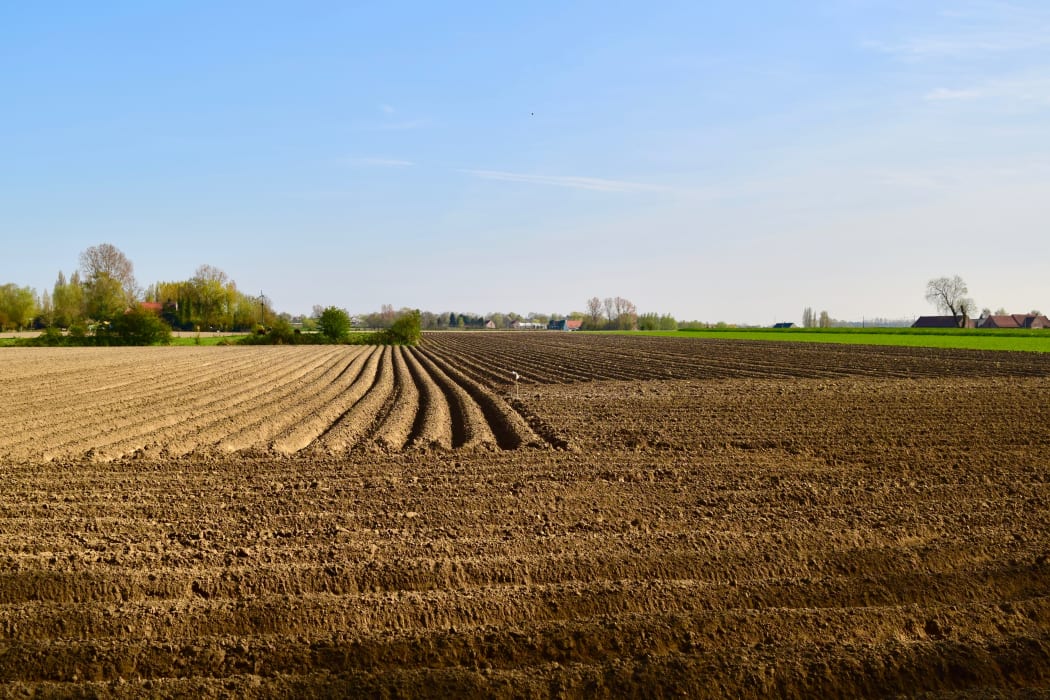 One hundred years on, the battlefields of Flanders seem a world away from the muddy shell-pocked landscape of WWI.