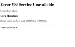The 503 error affected multiple popular homepages across the world.