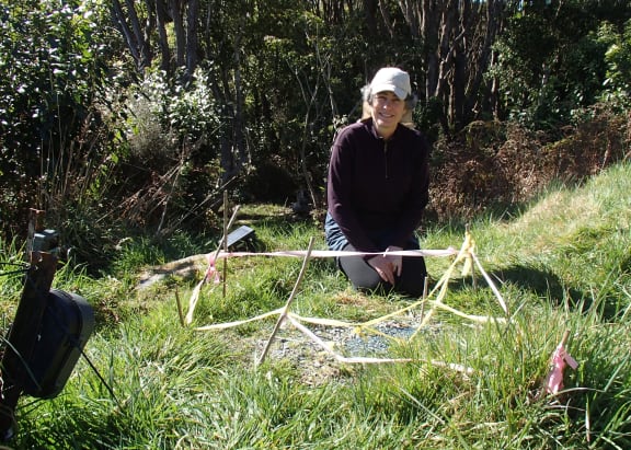 Alison Cree behind a tuatara nest, which is marked with tape to prevent people walking on it (it's on a gravel track) and watched over by a remote camera.