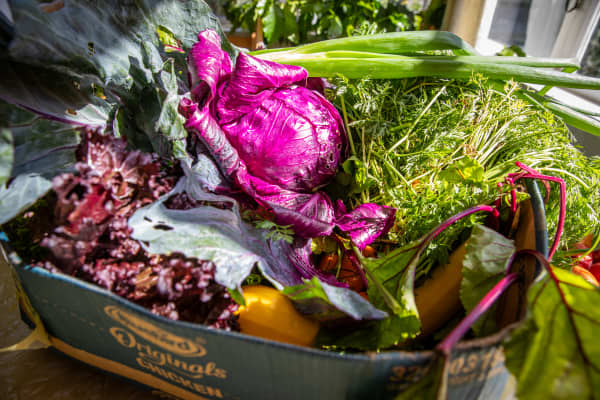 Is your veggie box packed with seasonal; plenty or a cooking conundrum?