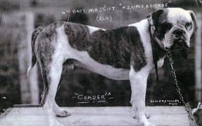 Ceaser.