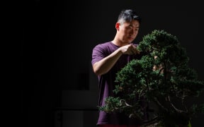 Chinese Bonsai artist Steven Yin