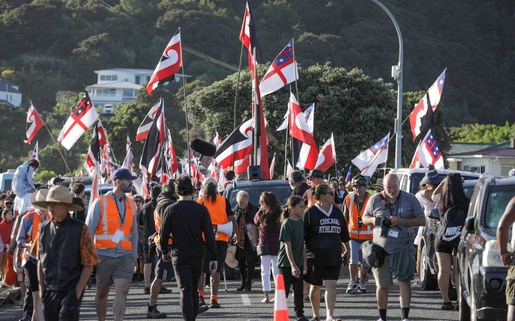 Some of the hikoi that has arrived at Waitangi on 6 February, 2024.