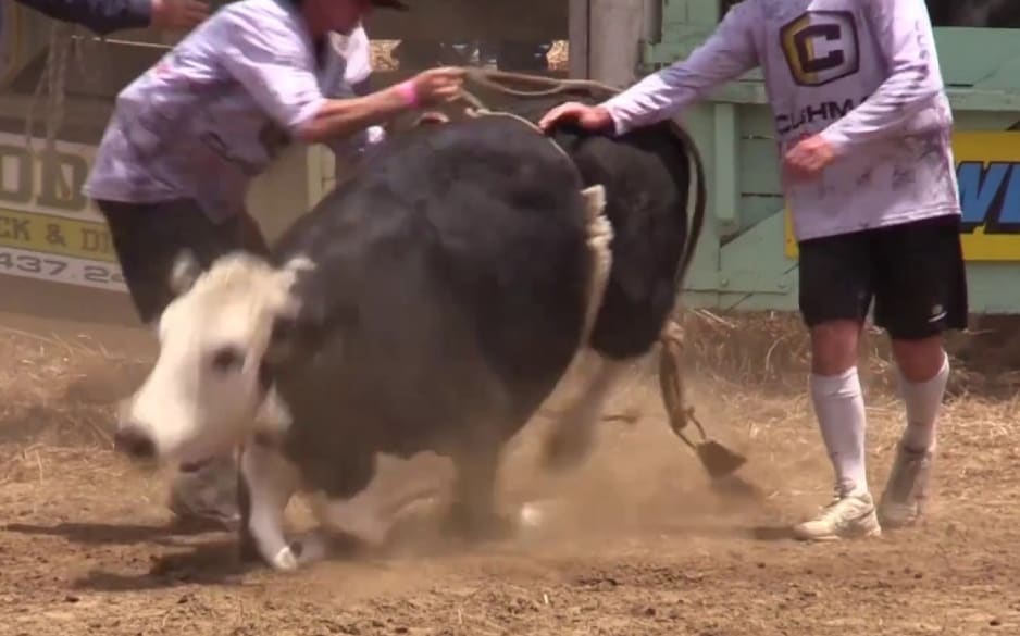 Rodeo footage shows animals restrained, in distress