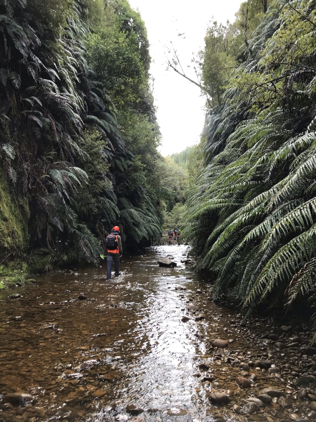 Walking to get to the search site