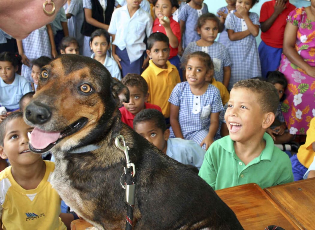 : Children at a primary school in Fiji learn about animal welfare, particularly stray dogs. Here the children are allowed to examine a dog as part of their lesson.