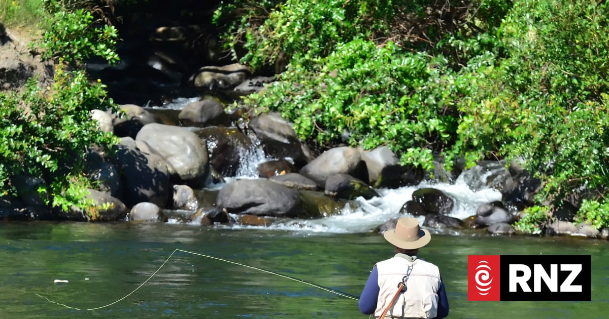Taupō anglers get bigger catch as trout bag limit rises to eight