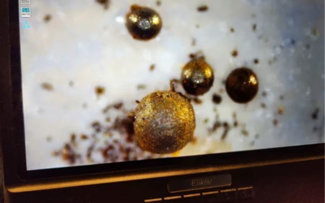 Spherules from the path of recognized interstellar meteor, IM1, under a microscope.