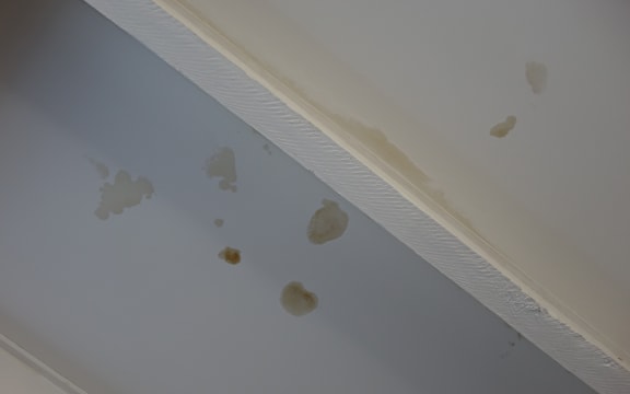 Water spots are seen in the home that Rose is renting in Dunedin.