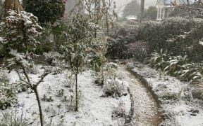 Snow in a Dunedin garden Tuesday 29 September 2020