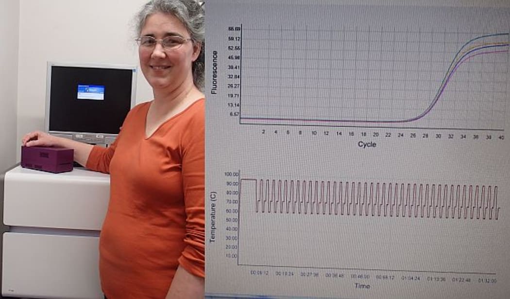 Jo-Ann Stanton holds the Freedom4 mobile PCR device, which sits on top of a standard lab-based PCR machine (left), and a typical output showing the temperature cycles (bottom) and the fluoresence curve which relates to the amount of DNA in the sample.
