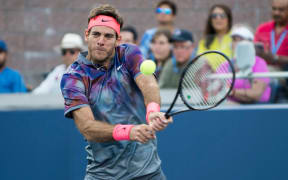Juan Martin del Potro