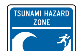 tsunami