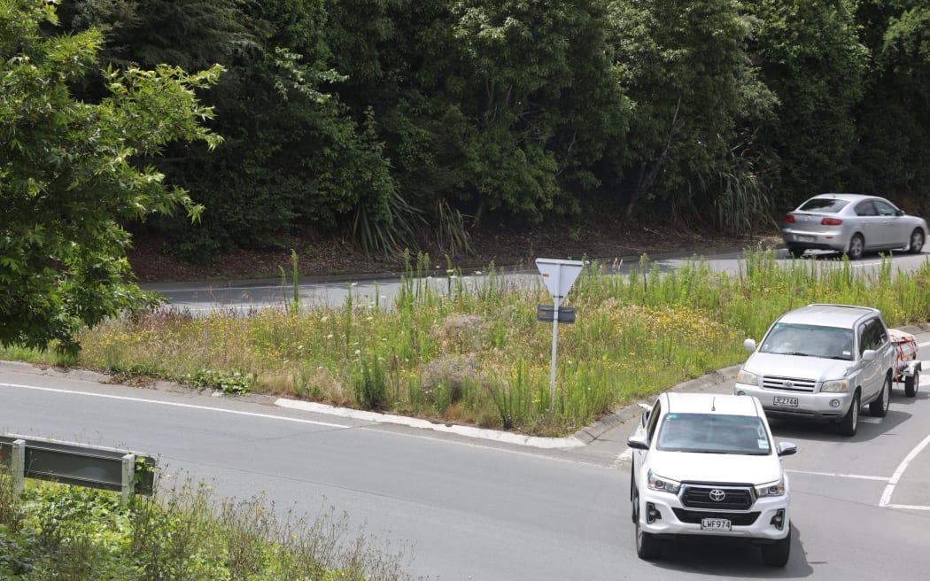 Weeds are growing once again in the region's roundabouts and island medians which Mayor Nick Smith said is damaging the image of Nelson.