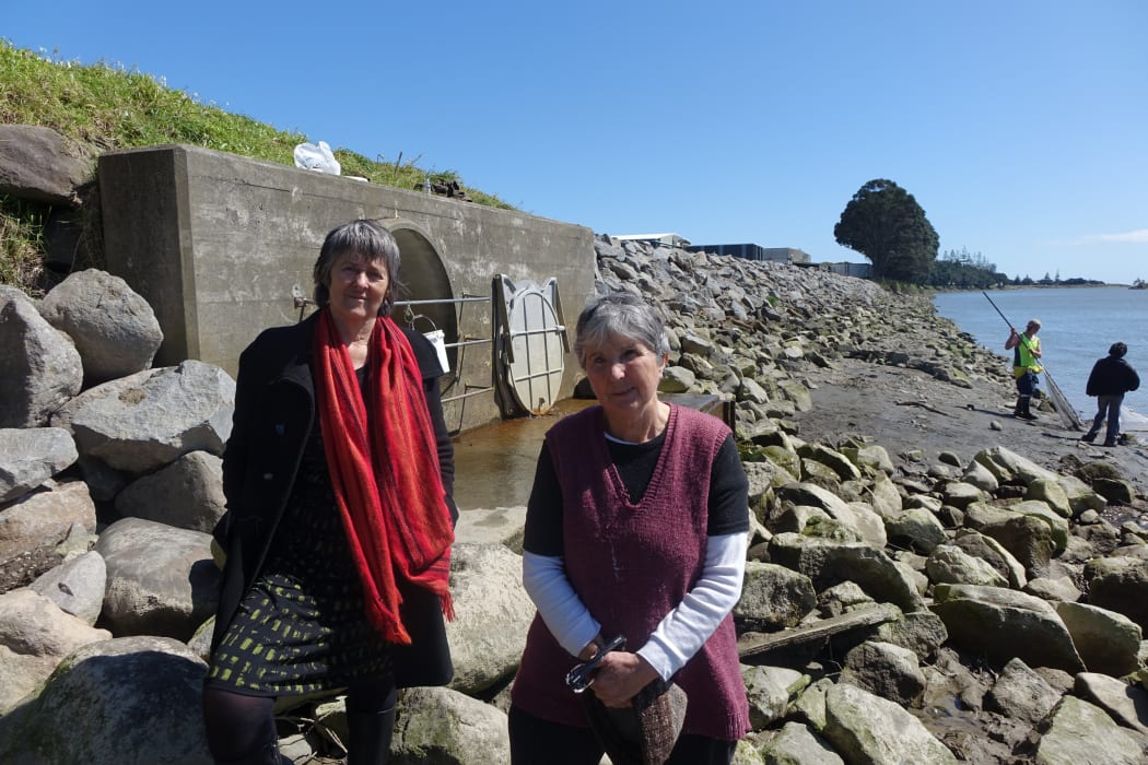 Green Party spokesperson for water, Catherine Delahunty, left, and Friends of the Waitara River member Fiona Clark fear proposed discharge limits may become a target for polluters.