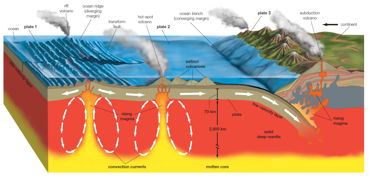 A graphic showing volcanic activity and Earth's tectonic plates.