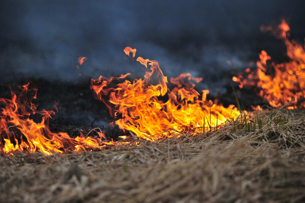 A grass fire between Queenstown and Arrowtown has been tackled.