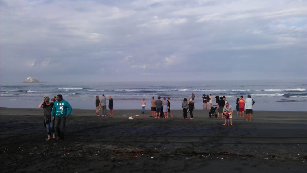 Muriwai Beach's size and nature would make it hard to use shark nets, Surf Life Savers say.