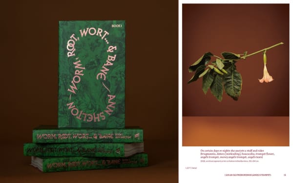 worm, root, wort... & bane by Ann Shelton. Designed by Duncan Munro.